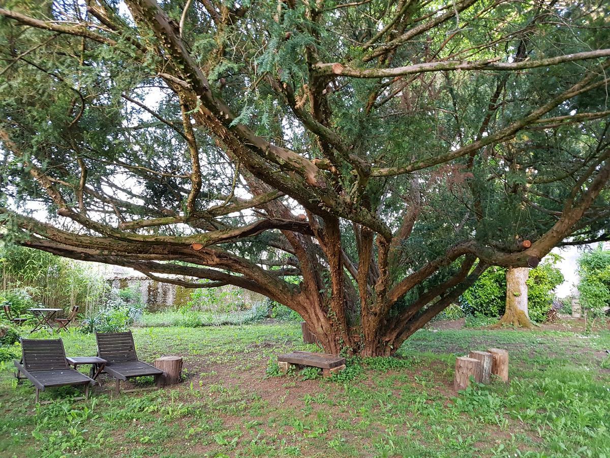 Le Nid Des Oiseaux Villa Cubjac Bagian luar foto